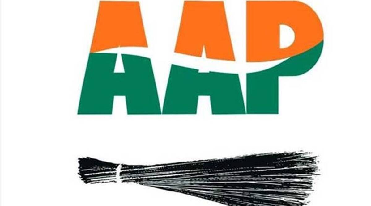 AAP color logo